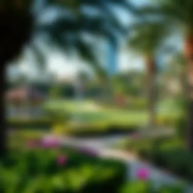 Recreation and Green Spaces in Dubai Lush gardens and recreational areas in Dubai