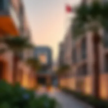 Real estate developments in Madinat Zayed illustrating housing options