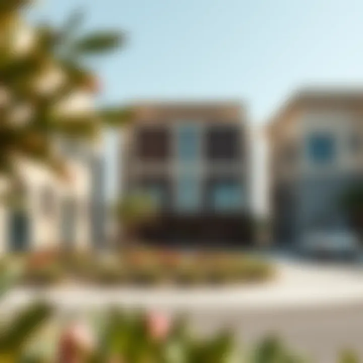 Investment opportunities in Nuaimia