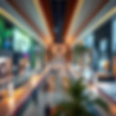 Strategic Location of Oasis Mall in Dubai Strategic location map of Oasis Mall within Dubai