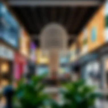 Retail Offerings at Oasis Mall Diverse retail offerings showcasing various brands available at Oasis Mall