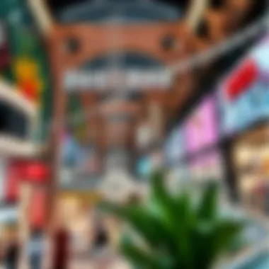 Vibrant shopping scene inside Oasis Mall with diverse retail stores
