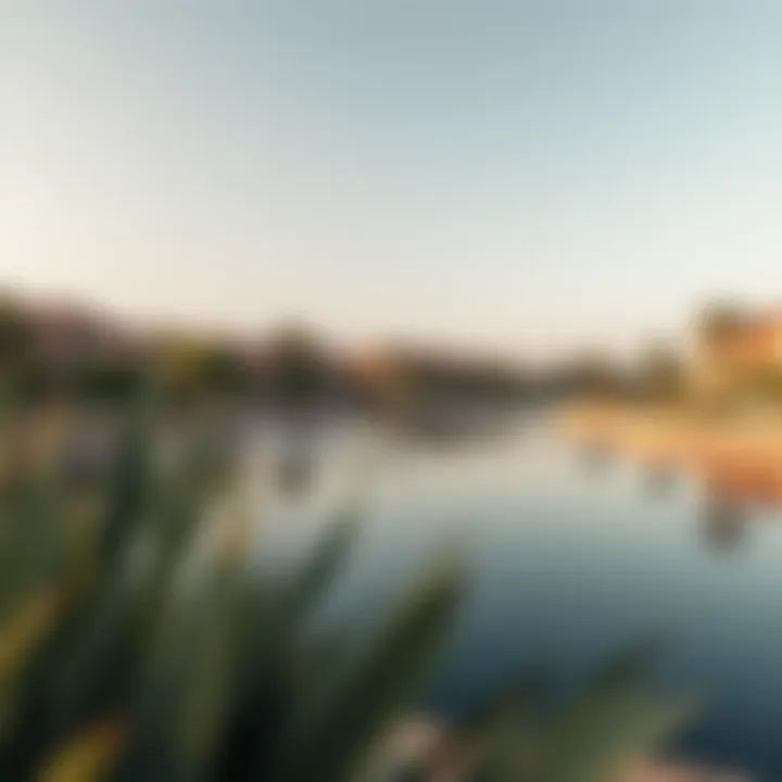 Tranquil Surroundings: The Community of Radisson Damac Hills Serene community surroundings of Radisson Damac Hills