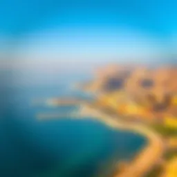 A panoramic view of Ras Al Khor showcasing its unique natural landscape