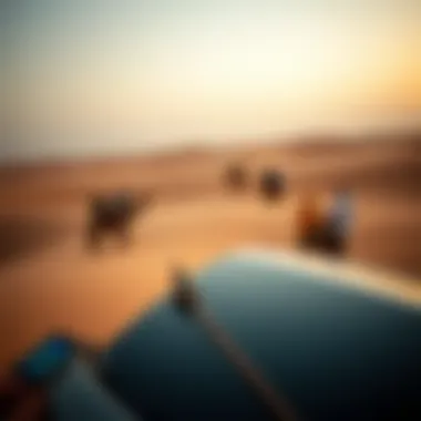 Thrilling Desert Adventures Adventurous desert safari experience