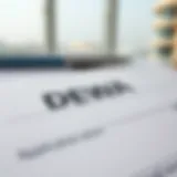 Detailed view of a DEWA application form