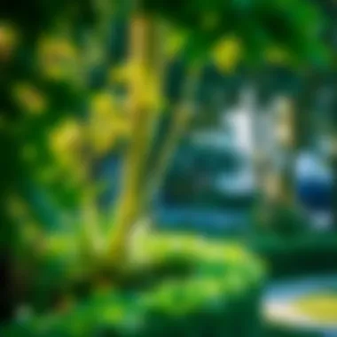 Lush green spaces of Ghala Garden