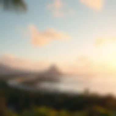 Infrastructure development surrounding Palm Island