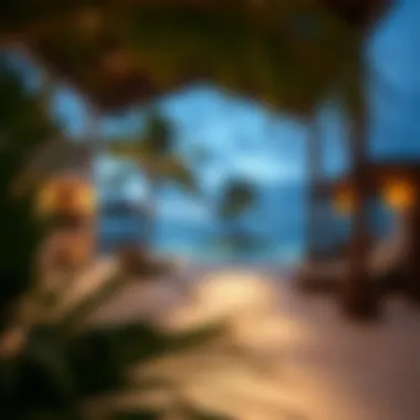 Market trends analysis for real estate in Palm Island