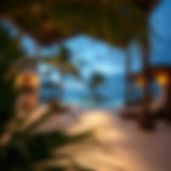 Market trends analysis for real estate in Palm Island