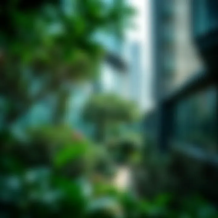 Lush green oasis in a bustling city